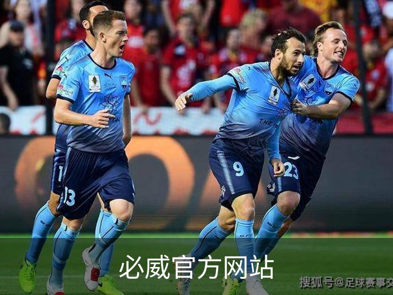 必威官方网站简介